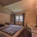 Duplex 6 Pers, Animaux Admis, Parking, Vue Mont Blanc - Fr-1-517-11 Apartment Chamonix