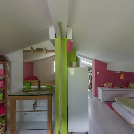 Duplex 6 Pers, Animaux Admis, Parking, Vue Mont Blanc - Fr-1-517-11 Apartment Chamonix