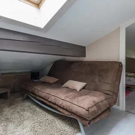Duplex 6 Pers, Animaux Admis, Parking, Vue Mont Blanc - Fr-1-517-11 *